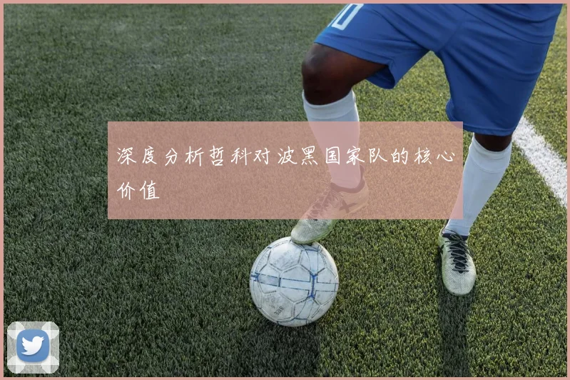 深度分析哲科对波黑国家队的核心价值